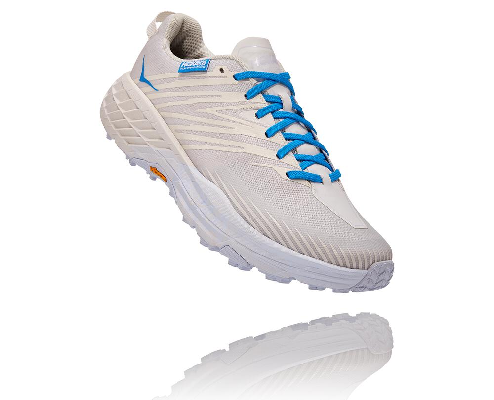 Hoka One One X Tint Speedgoat 4 Moški Pohodniški Čevlji Bež / Modra SI-345891S